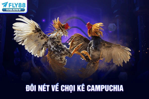 Đôi nét về chọi kê Campuchia Đôi nét về chọi kê Campuchia