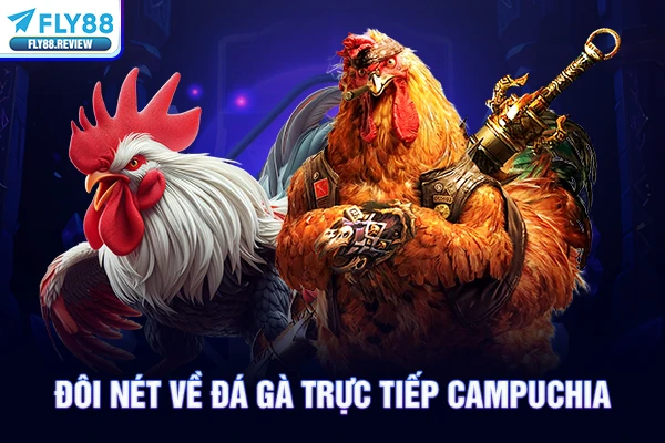 Đôi nét về đá gà trực tiếp Campuchia Đôi nét về đá gà trực tiếp Campuchia