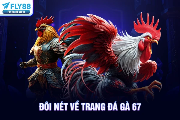 Đôi nét về trang đá gà 67