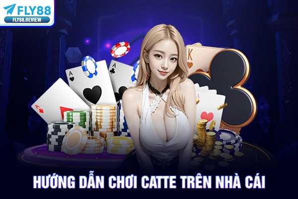 Hướng dẫn chơi catte trên nhà cái Hướng dẫn chơi catte trên nhà cái