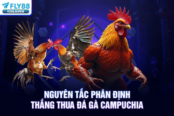 Nguyên tắc phân định thắng thua đá gà Campuchia Nguyên tắc phân định thắng thua đá gà Campuchia