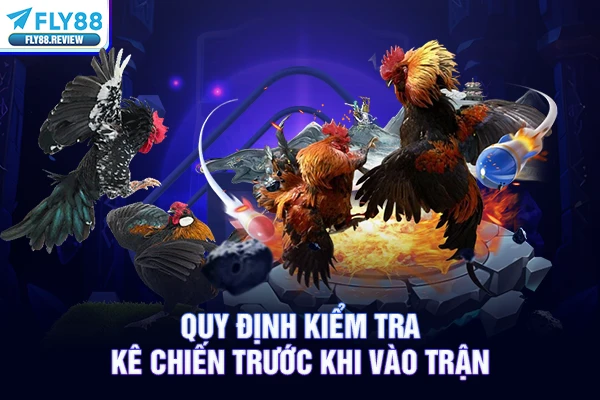 Quy định kiểm tra kê chiến trước khi vào trận Quy định kiểm tra kê chiến trước khi vào trận